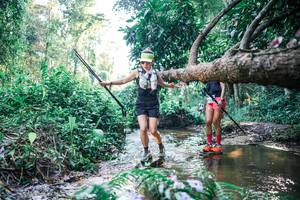 BIB: 
                            <button type="button" onclick="openModal(25436240)" class="btn btn-primary btn-sm float-right btn-popup" data-toggle="modal" data-target=".modal-high-quality">
                        <i class="fas fa-shopping-cart"></i> Add to Cart
                    </button>
                                            <button type="button" onclick="isThisMe(25436240, true)" class="btn btn-success btn-sm float-right btn-popup btn-isme hidden" data-toggle="tooltip" data-placement="bottom" title="นี่คือรูปของคุณใช่ไหม คลิกที่นี่เพื่อเอาเข้าอัลบั้ม">
                        <i class="fas fa-plus"></i> Add to album
                    </button>
                    <button type="button" onclick="isThisMe(25436240, false)" class="btn btn-warning btn-sm float-right btn-popup btn-isnotme hidden">
                        <i class="fas fa-ban"></i> Remove from album
                    </button>